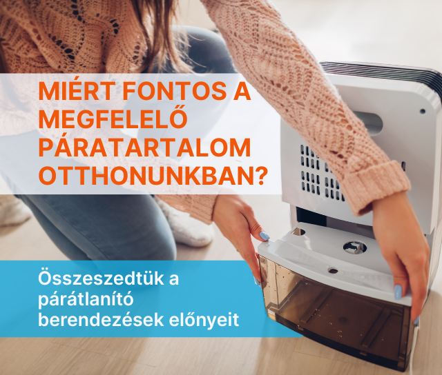 Miért fontos a megfelelő páratartalom? – A párátlanító készülék előnyei otthonodban